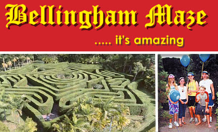 Bellingham Maze