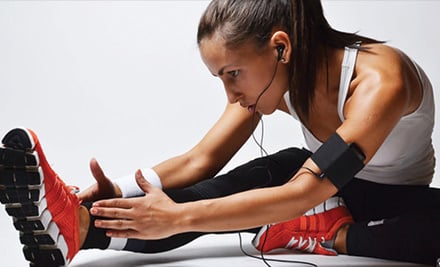 Flex Fitness Palmerston North