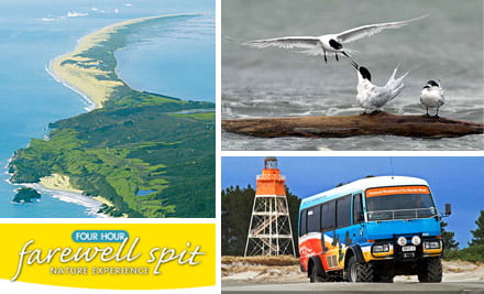 Farewell Spit Nature Experience
