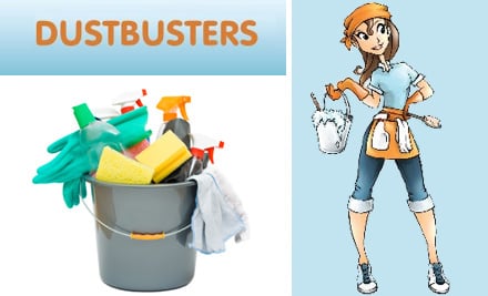Dustbusters New Plymouth
