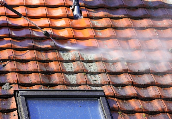 YourLocal House Wash Roof & Pest - West Auckland
