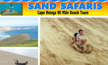 Sand Safaris