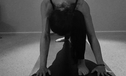 Kelly Edlund Yoga