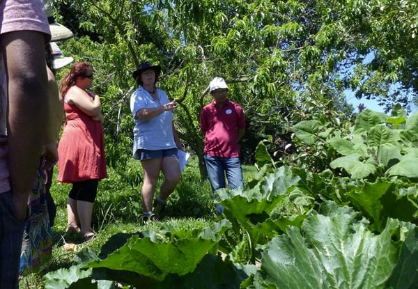 Learn about Living Sustainably