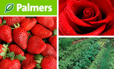 Palmers Gardenworld Palmerston north