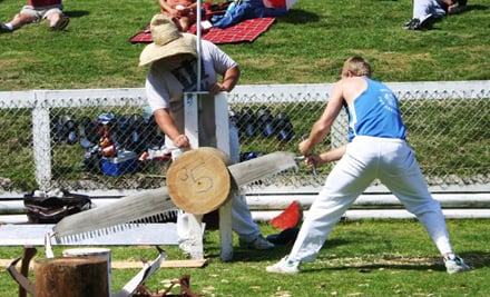 Tauranga A & P Show
