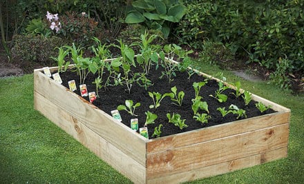 My Market Garden