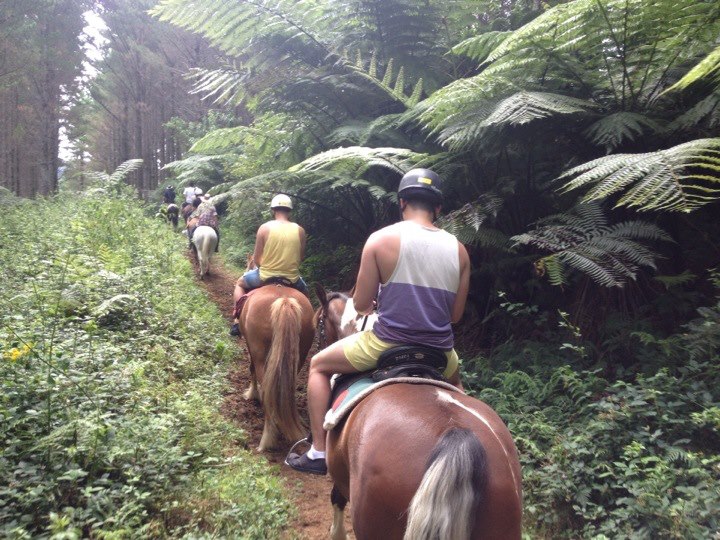 Horses4Fun Riding School