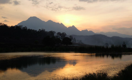 Lillydale Farmstay - Scenic Rim Region QLD