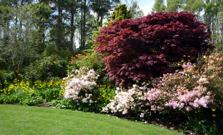 Good Roots Gardeners