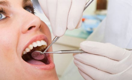 Gentle Dental Company - Gus Cameron