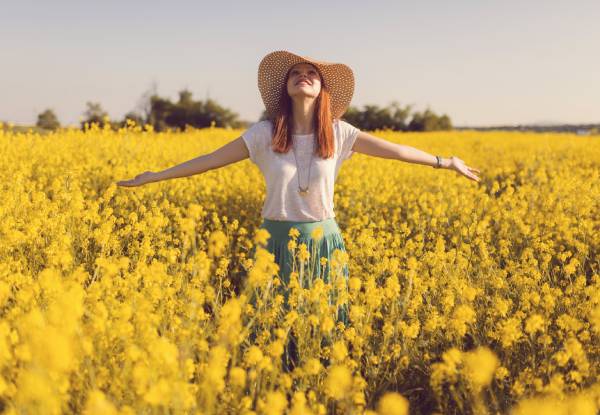 Alternative Colour Therapy Online Course