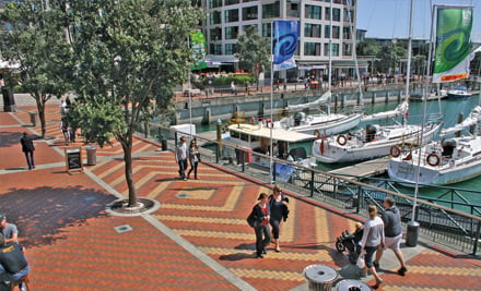 Auckland City Highlights Coach Tour