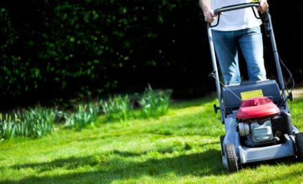 Fine Cutting Services