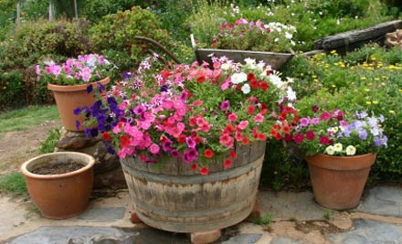 Green Door Garden & Gifts