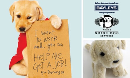 Every Dog Has Its Day: Guide Dog Online Auction