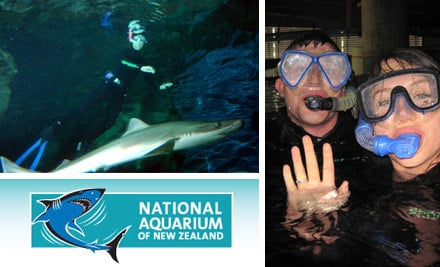 National Aquarium of New Zealand
