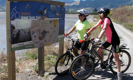 Nelson Cycle Hire Ltd