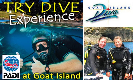 Goat Island Dive & Snorkel