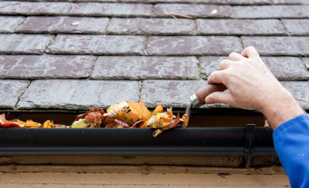 Alligator Drainage Ltd