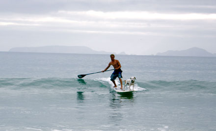 Walk On Water Stand Up SurfBoards NZ Ltd