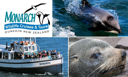Monarch Wildlife Cruises & Tours