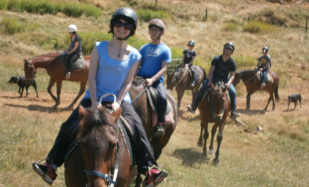 1 Hour Horse Trek