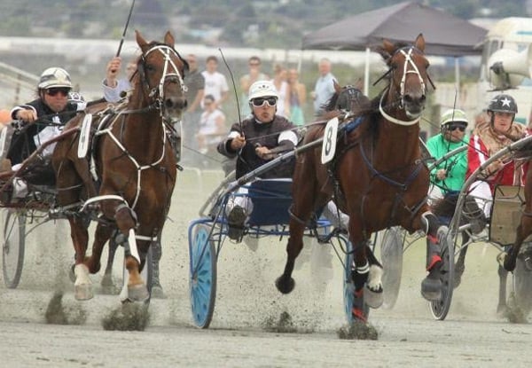 $17 for a VIP Package to Summer Races for One or $29 for Two People incl. Admission to the Races, Racebook, Entry into the Stoke Beer & Rochdale Cider VIP Marquee & a Drink (value up to $54)