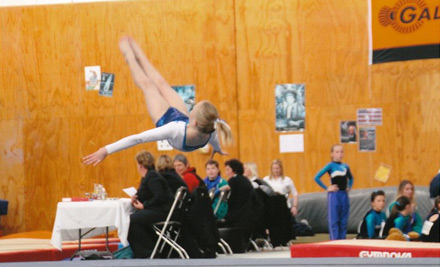 The Gymnastics Academy
