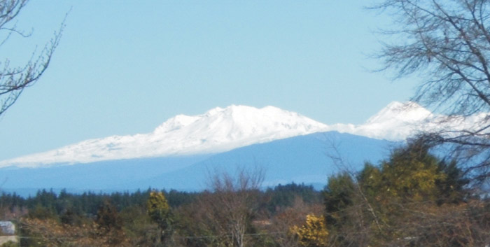Point View Lodge Taupo
