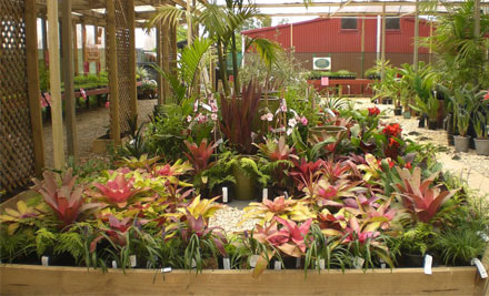 Shed 16 Garden Centre