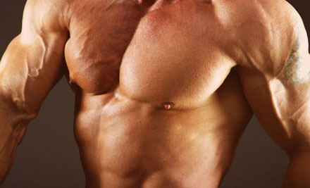 Wholesale Muscle