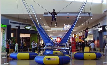 Amac Bungy