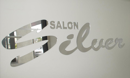 Salon Silver