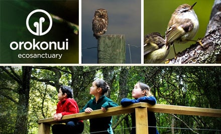 Orokonui Ecosanctuary