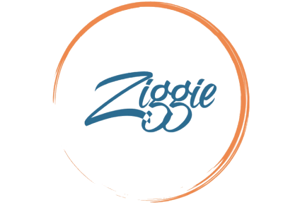 Ziggie Cleaning Services