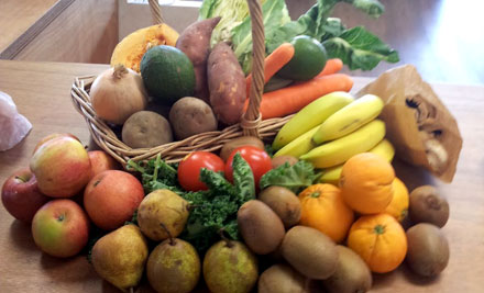 Seed Coastal Organics