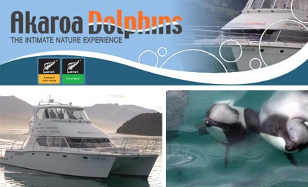 Akaroa Dolphins