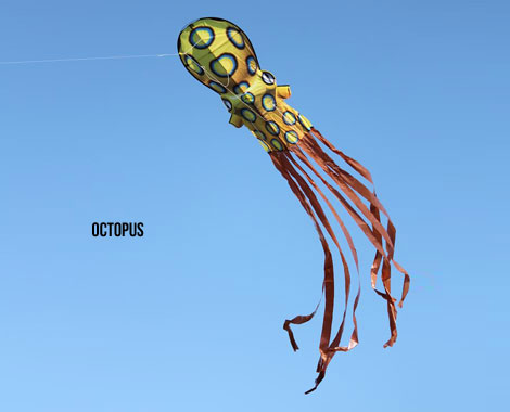 $39 for a Huge Octopus or Parrot Kite