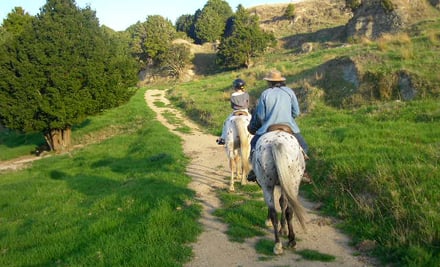 Mangapai Horse Treks