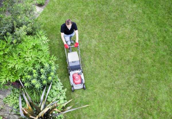 Two Hours of Gardening Services - Option for Four Hours