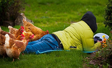 NZ Photo Workshops
