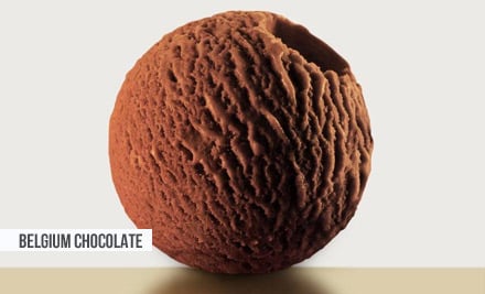 $4 for a 2.4 Litre Tub of Belgian Chocolate Ice Cream, Vanilla Bourbon Ice Cream OR $10 to incl. Six White Chocolate Puddings (value up to $14.50)