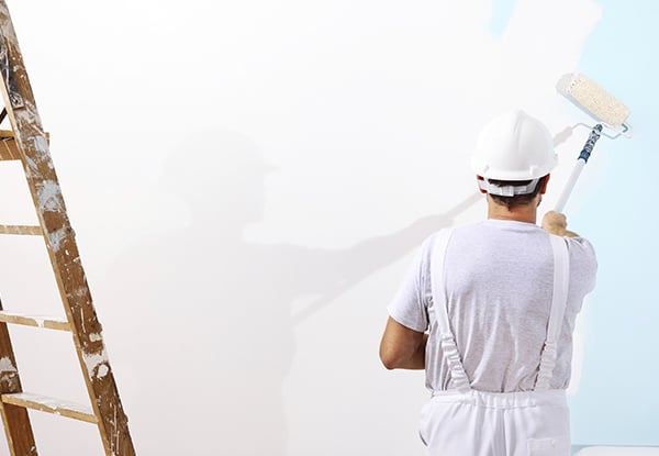 Kiwi Property Maintenance