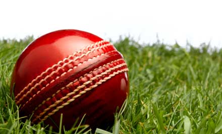 Nelson Cricket