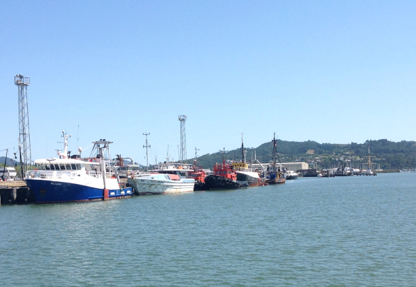 Whangarei Harbour Cruises