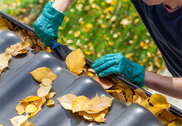 Exterior Washing Services