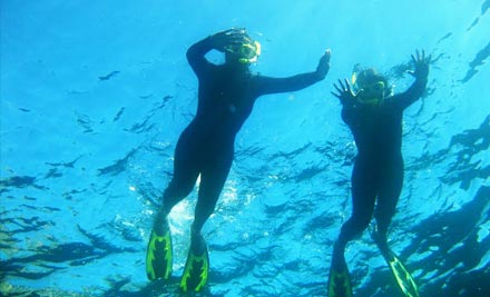 Four-Hour Guided Snorkel Experience at Goat Island or Tawharanui Marine