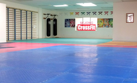 Sejong CrossFit Browns Bay