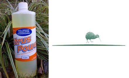 Green Kiwi Clean